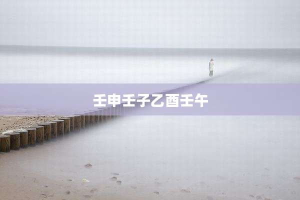 壬申壬子乙酉壬午