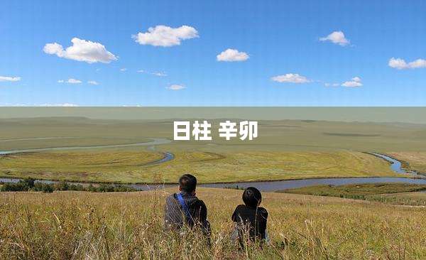 日柱 辛卯