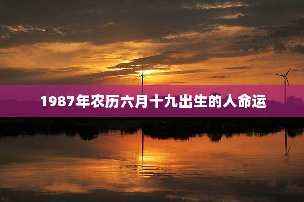 1987年农历六月十九出生的人命运