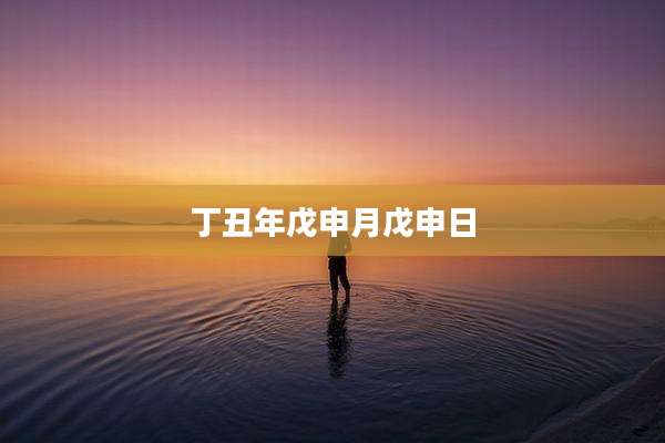 丁丑年戊申月戊申日