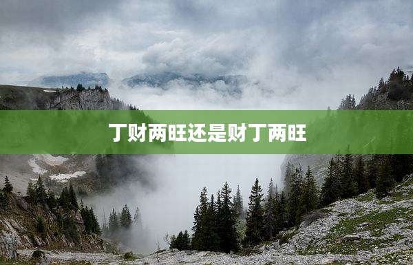 丁财两旺还是财丁两旺