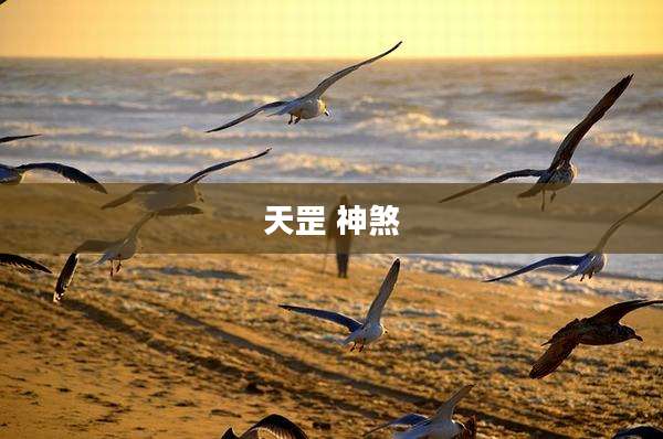天罡 神煞