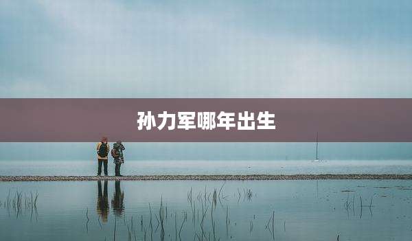 孙力军哪年出生