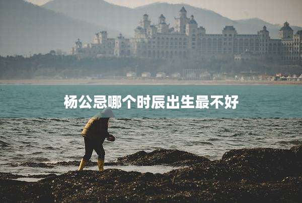 杨公忌哪个时辰出生最不好