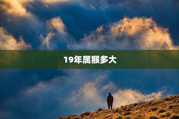 19年属猴多大