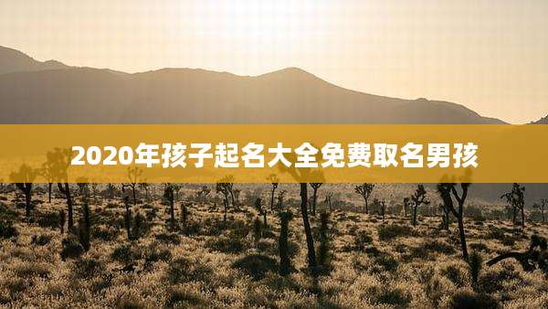 2020年孩子起名大全免费取名男孩