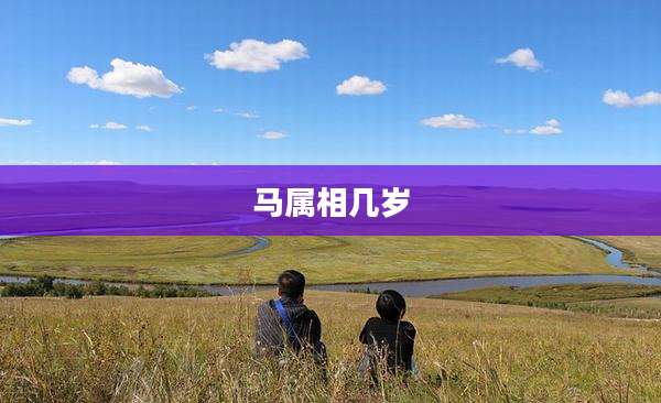 马属相几岁