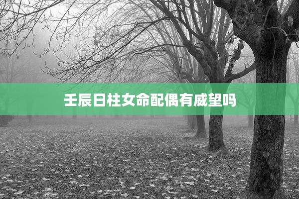 壬辰日柱女命配偶有威望吗