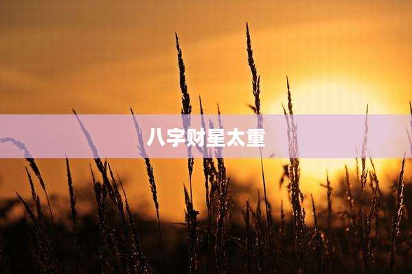 八字财星太重