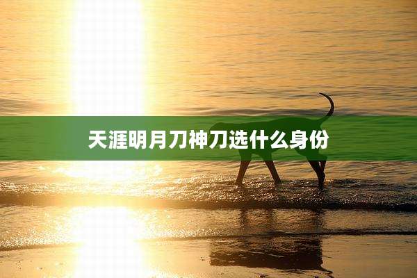 天涯明月刀神刀选什么身份