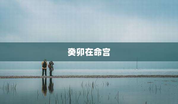 癸卯在命宫