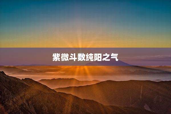 紫微斗数纯阳之气