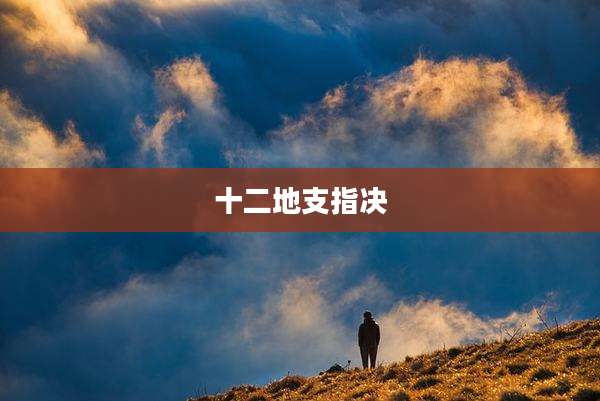 十二地支指决