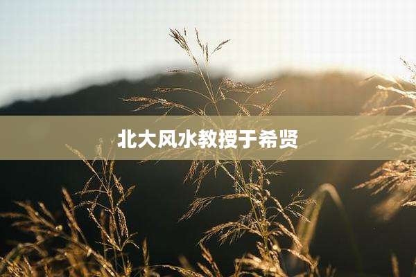北大风水教授于希贤