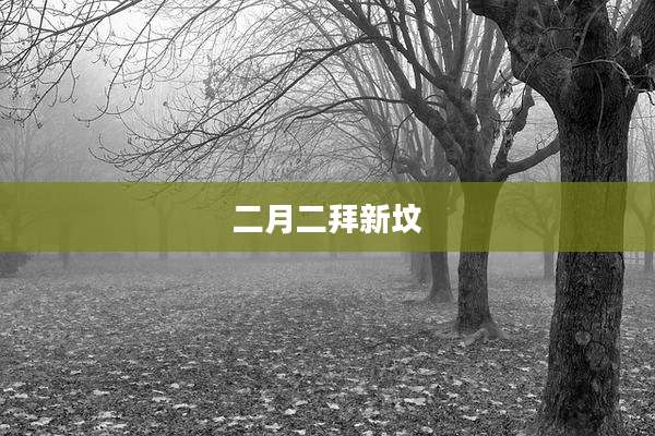 二月二拜新坟