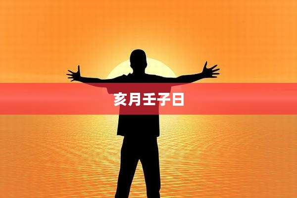 亥月壬子日