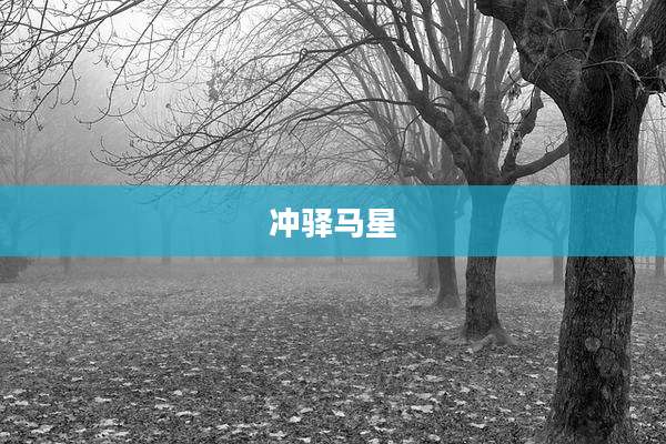 冲驿马星