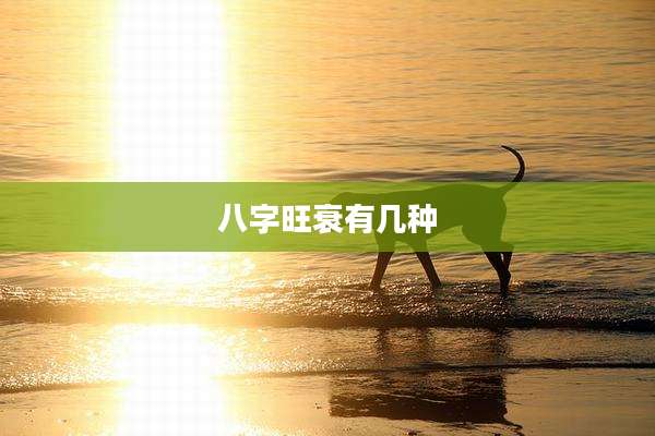 八字旺衰有几种