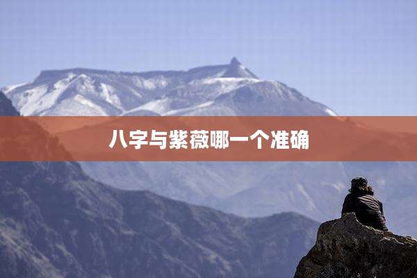 八字与紫薇哪一个准确