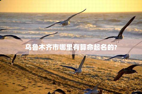 乌鲁木齐市哪里有算命起名的?