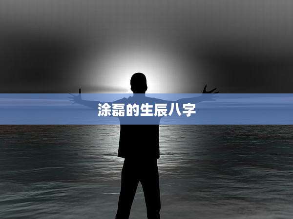 涂磊的生辰八字