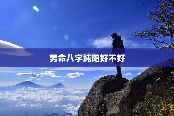 男命八字纯阳好不好