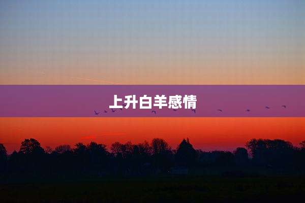 上升白羊感情