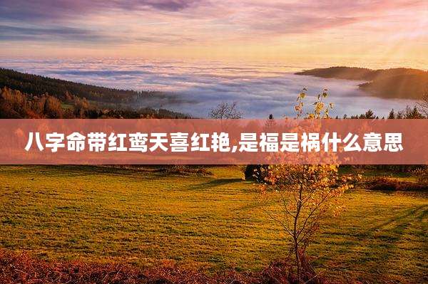 八字命带红鸾天喜红艳,是福是祸什么意思