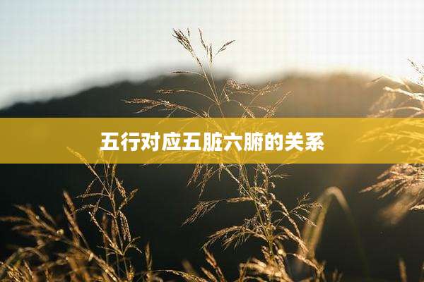 五行对应五脏六腑的关系