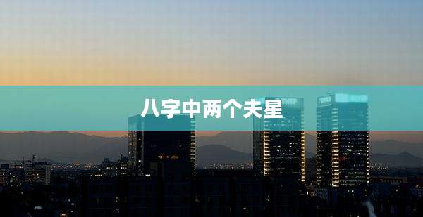 八字中两个夫星