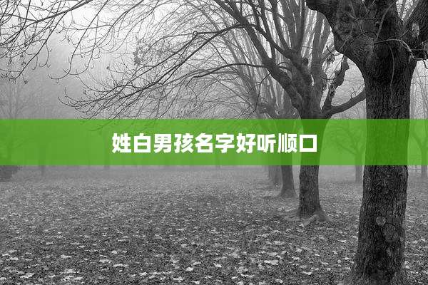 姓白男孩名字好听顺口