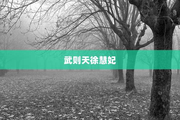 武则天徐慧妃