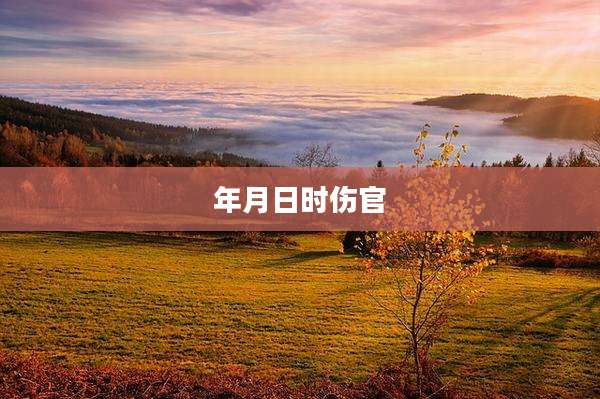 年月日时伤官