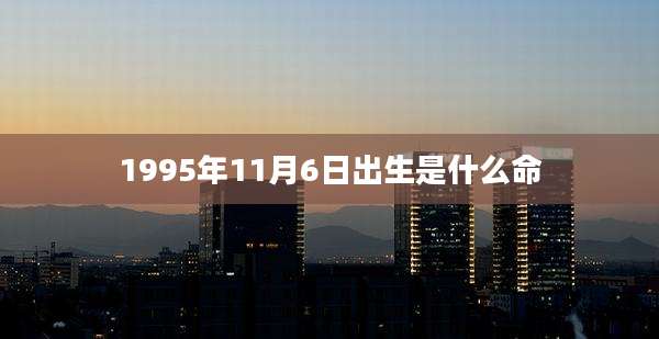 1995年11月6日出生是什么命