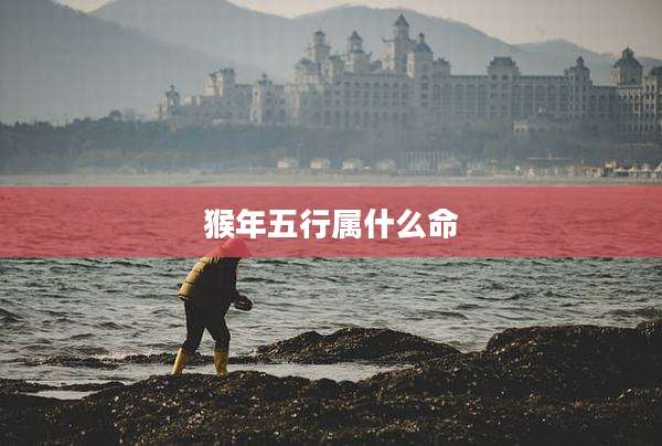 猴年五行属什么命