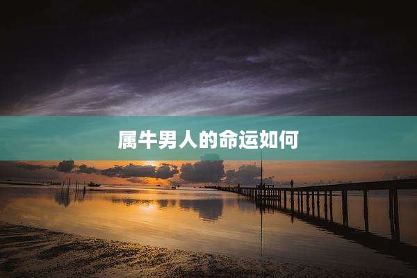 属牛男人的命运如何