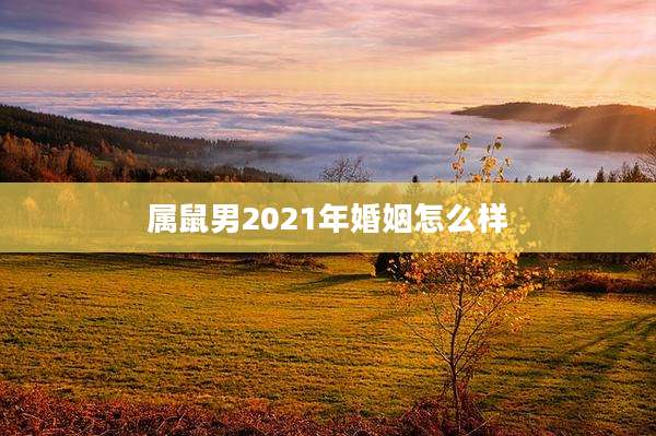 属鼠男2021年婚姻怎么样