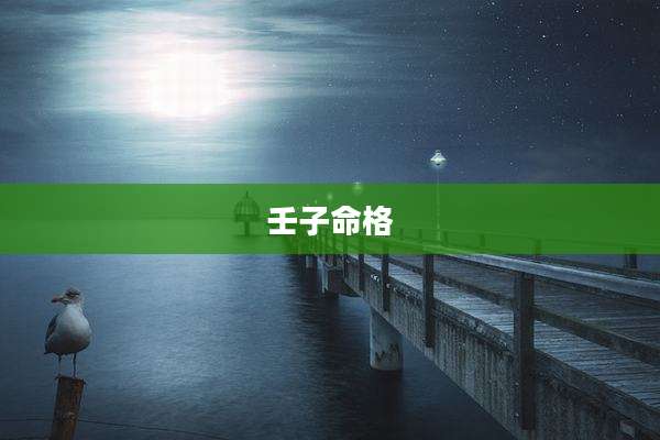 壬子命格