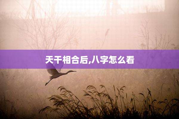 天干相合后,八字怎么看