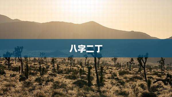 八字二丁
