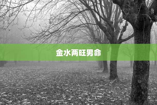 金水两旺男命