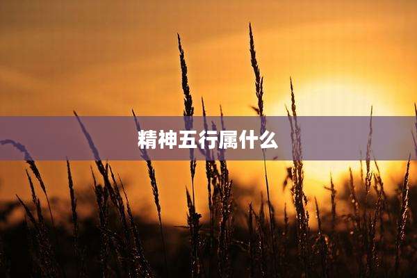 精神五行属什么