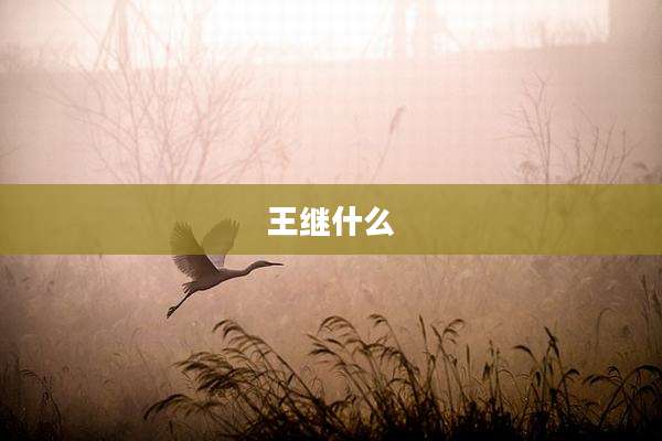 王继什么