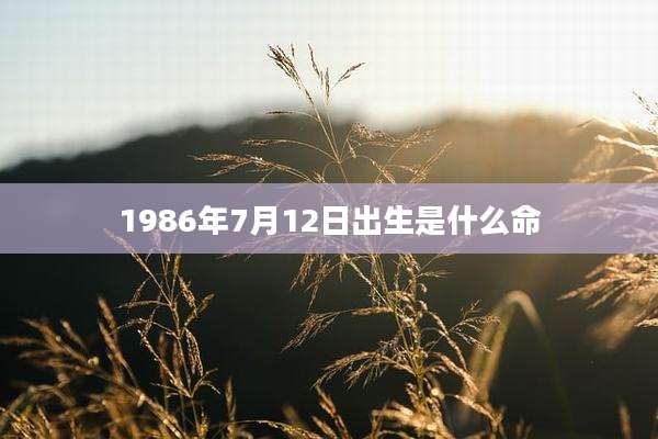 1986年7月12日出生是什么命