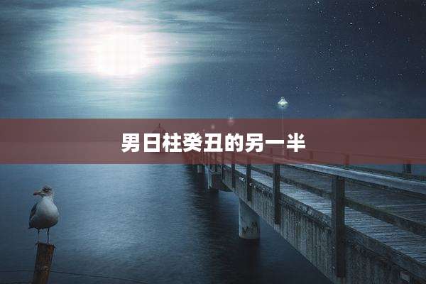 男日柱癸丑的另一半