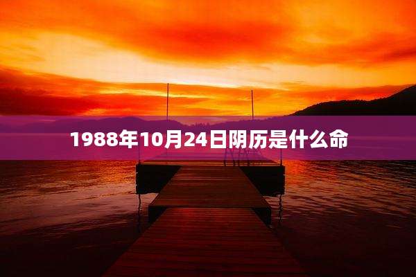 1988年10月24日阴历是什么命