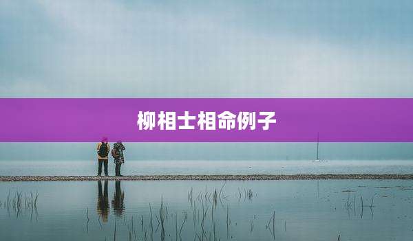 柳相士相命例子