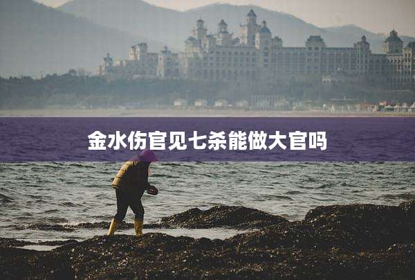 金水伤官见七杀能做大官吗