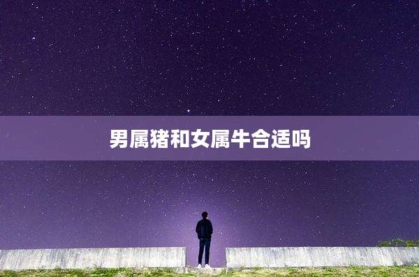 男属猪和女属牛合适吗