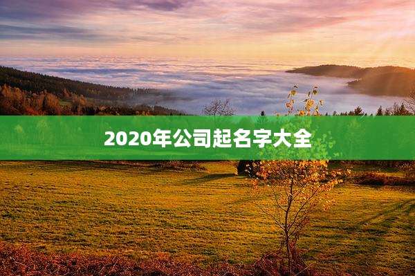 2020年公司起名字大全